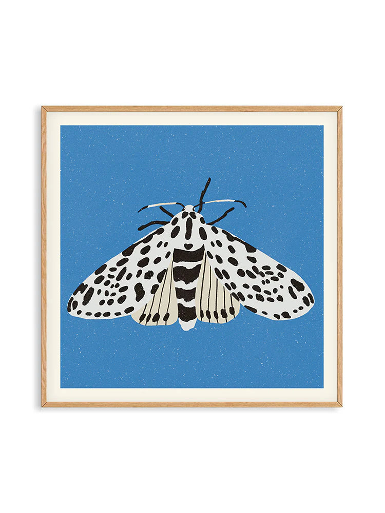ENIKO EGED: TIGER MOTH