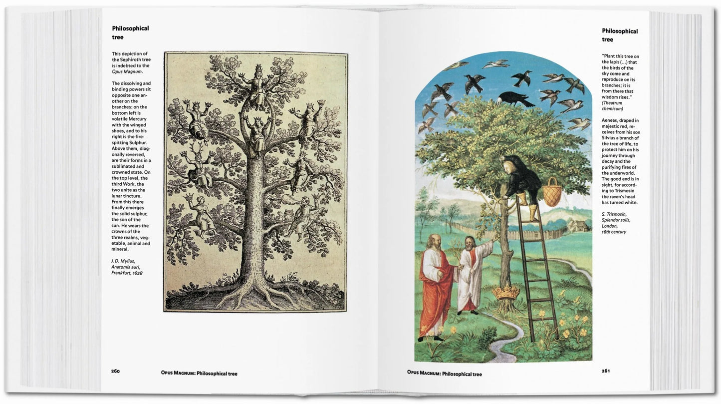 BOOK / ALCHEMY & MYSTICISM