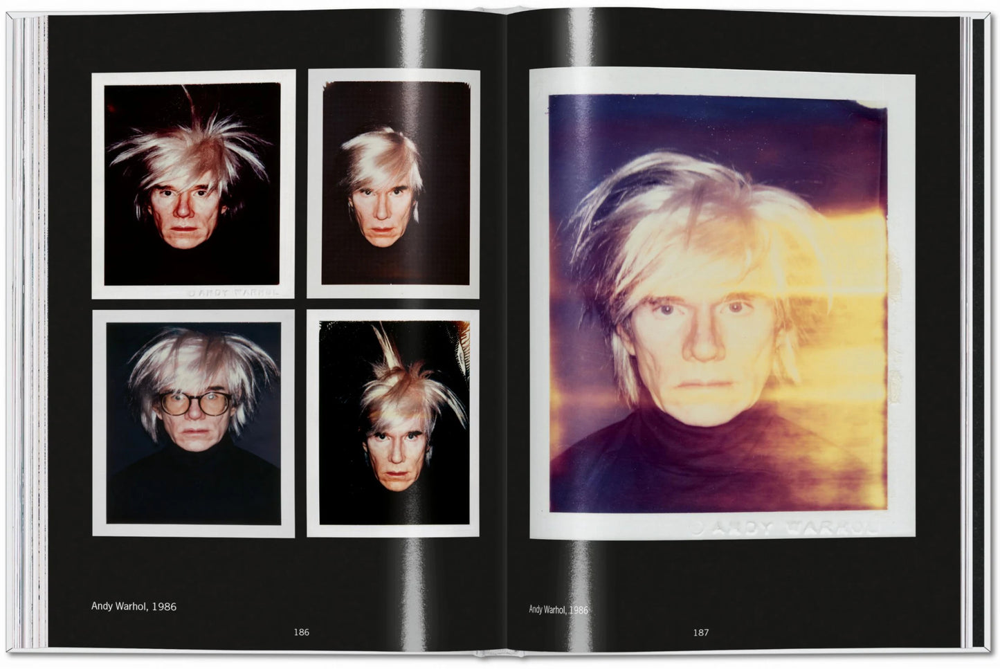 BOOK / ANDY WARHOL POLAROIDS 1958-1987