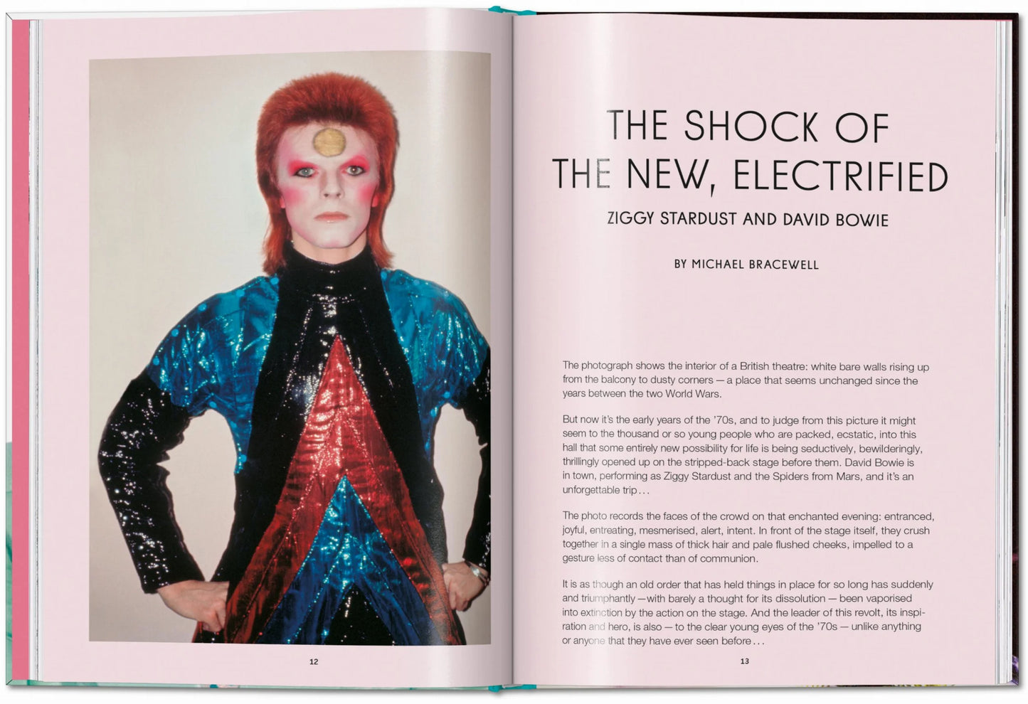 BOOK / THE RISE OF DAVID BOWIE