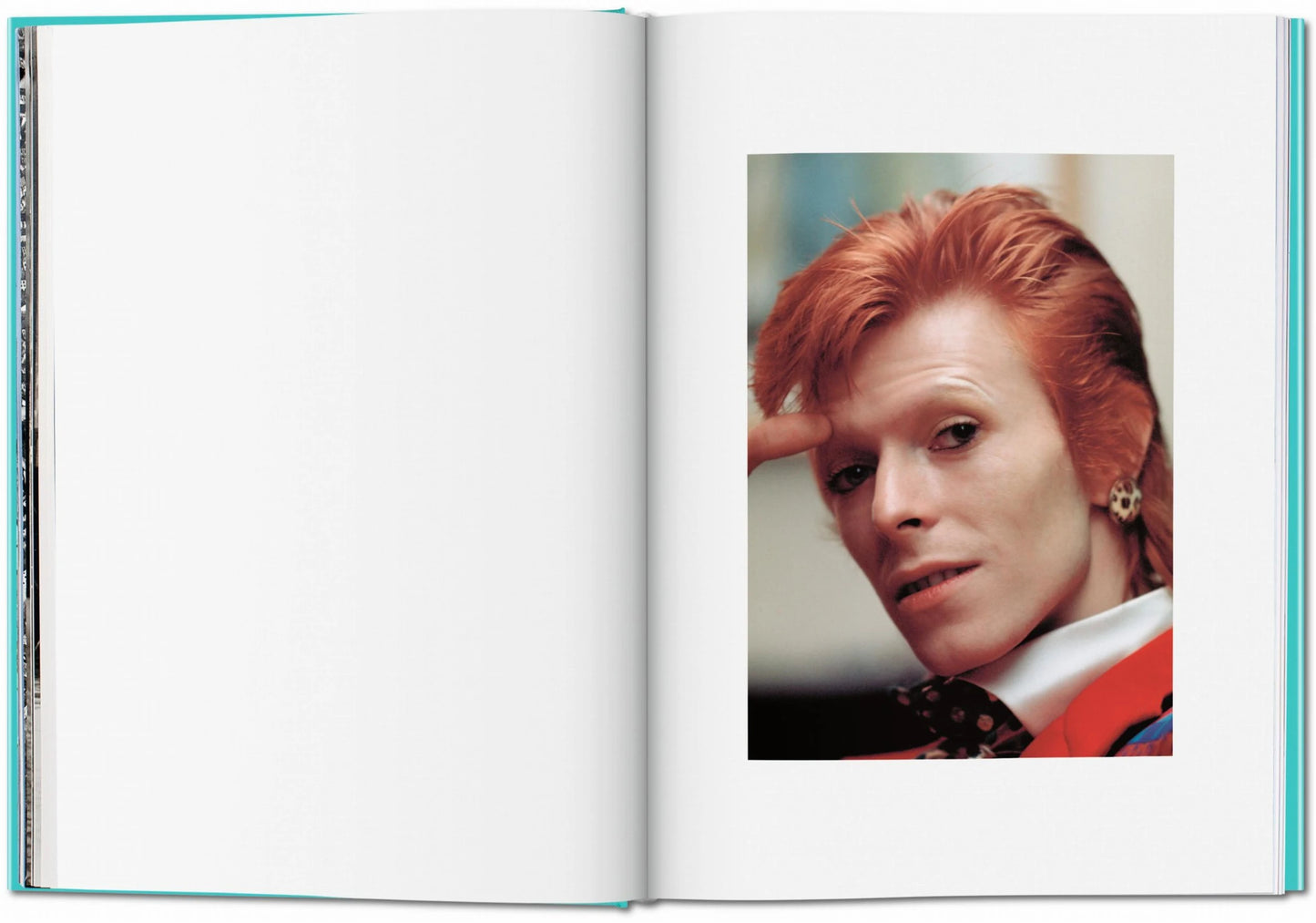 BOOK / THE RISE OF DAVID BOWIE 1972-1973