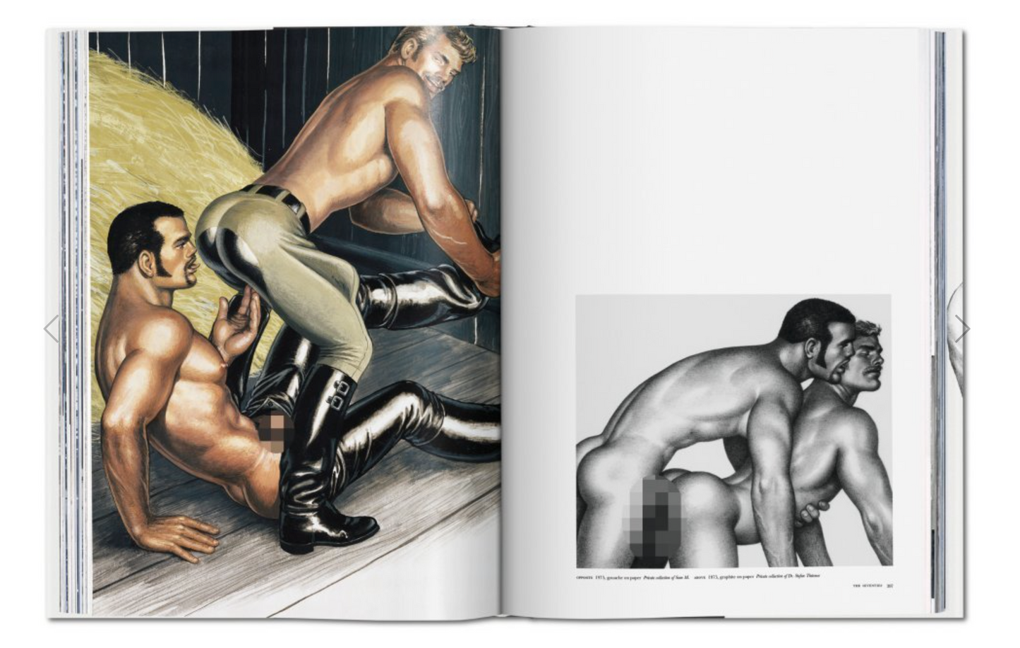 BOOK / TOM OF FINLAND