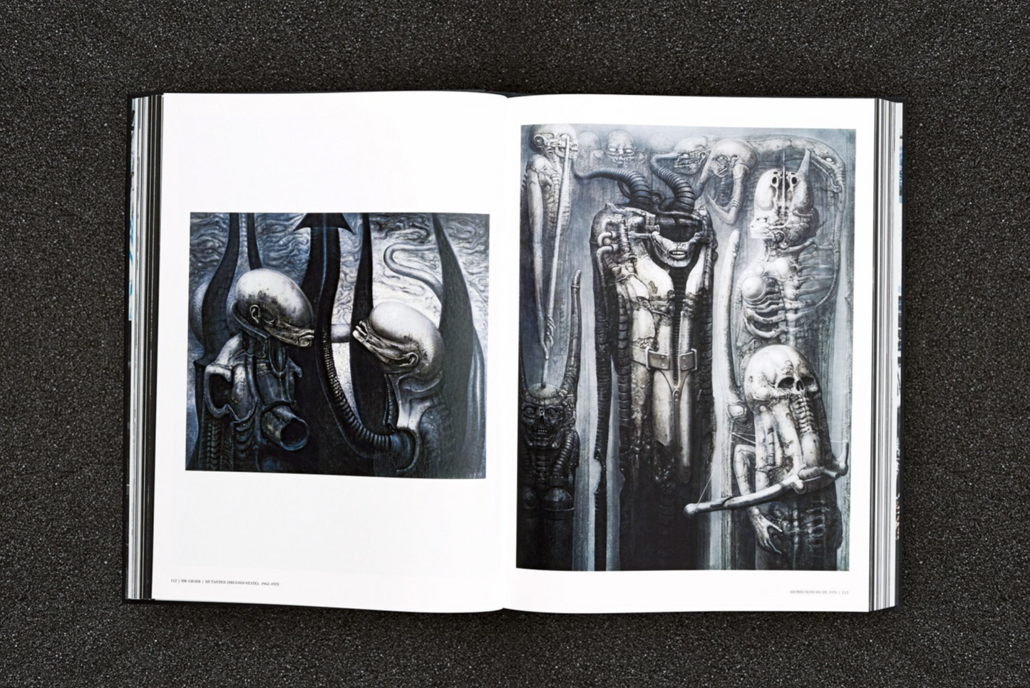 BOOK / HR GIGER