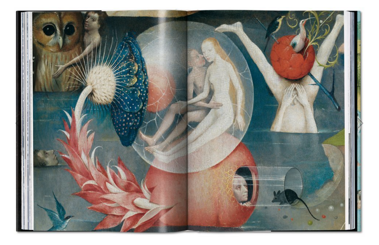 BOOK / HIERONYMOUS BOSCH / 2 SIZES
