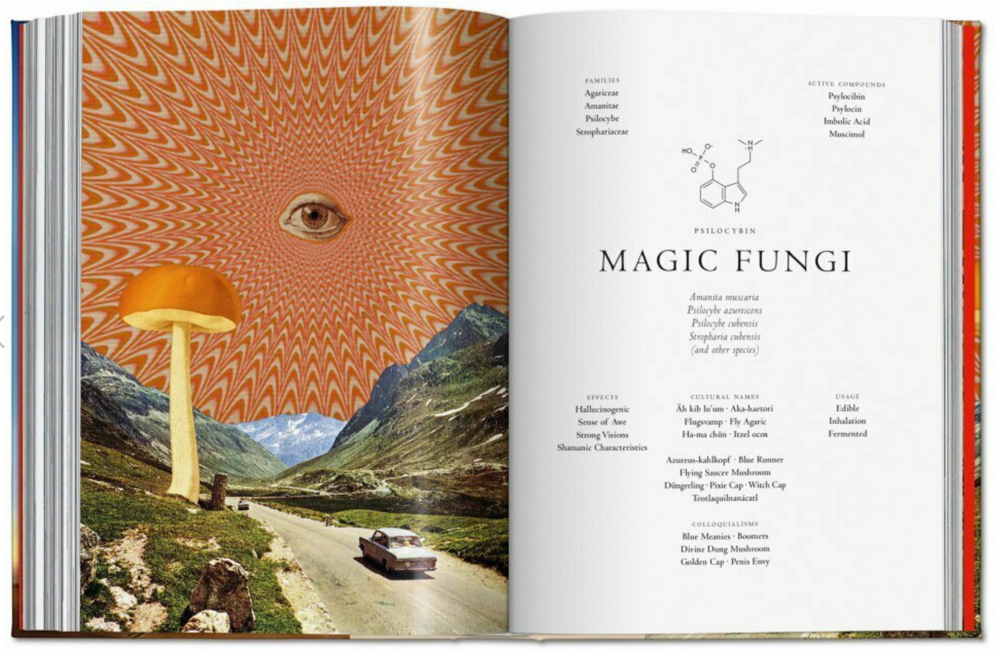 BOOK / PLANT MAGICK