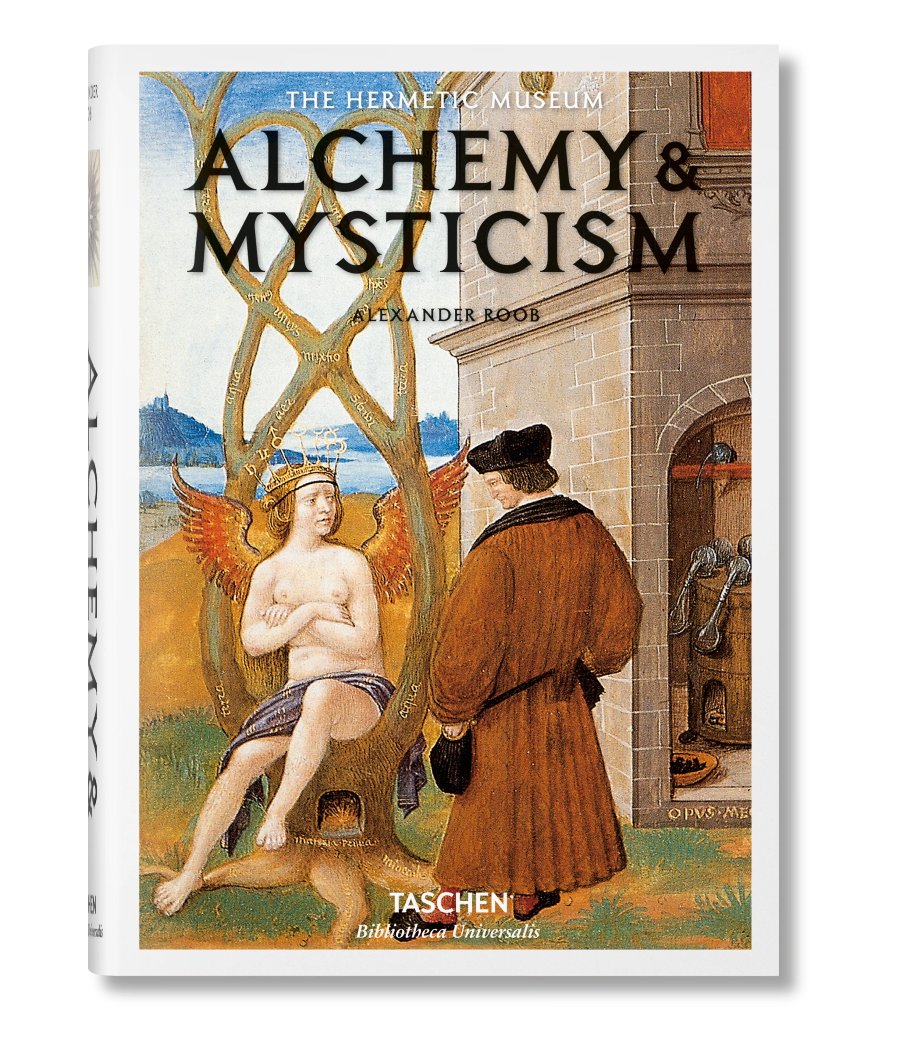 Spatial Alchemy Book BOOK / ALCHEMY & MYSTICISM – LEISURE SYNDICATE